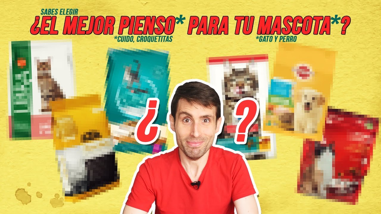 ¿Cuál es el MEJOR ALIMENTO para tu gato 🐱 o tu perro 🐶 | ¡La etiqueta de tu PIENSO te engaña!