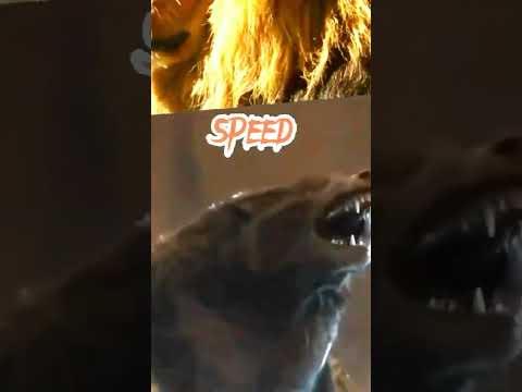Lion vs werewolf fight #shortsfeed #shorts