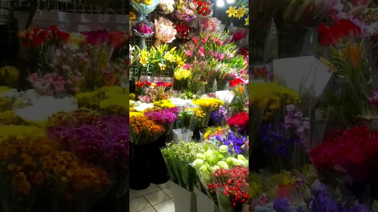 YouTube Short thumbnail