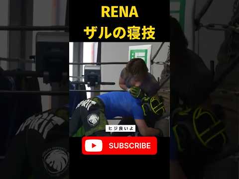 RENA寝技が苦手でボコボコにされる。#rizin #格闘技 #レナ #RENA