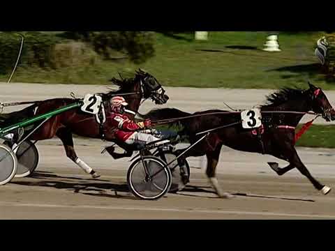 Aversa trotto 20 Febbraio 2021 - 3° Corsa