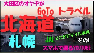 例の件でヤバイ北海道に、「GO TOトラベル」と「JALどこかにマイル利用で行ってみた。その1．