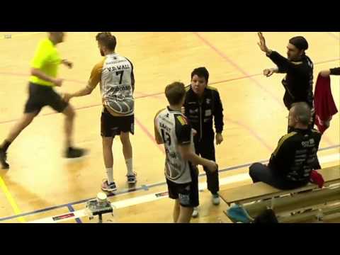 Samenvatting Lions - Bevo