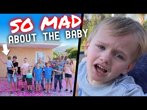 Owen Destroys House Because of Gender Reveal Results