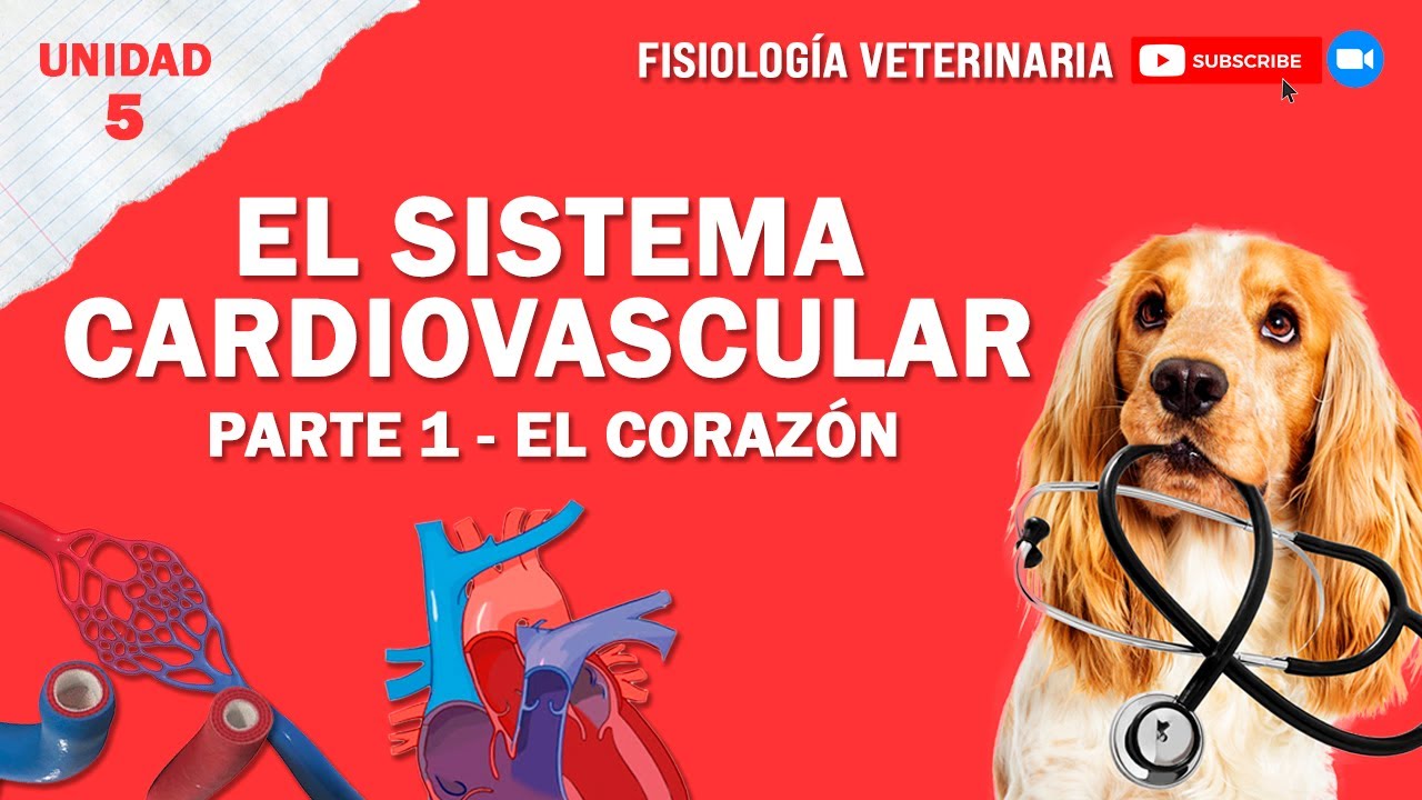 FISIO1_UNIDAD5_SISTEMACARDIOVASCULAR