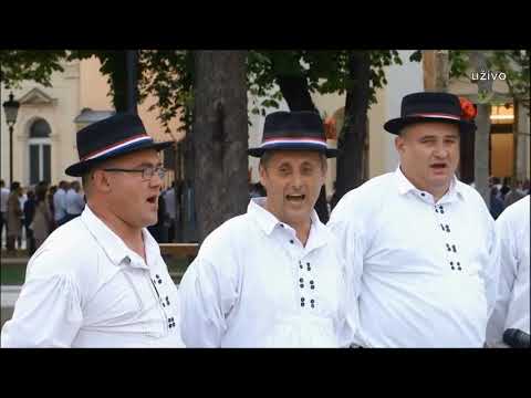 Umireš li Slavonijo moja