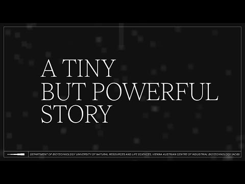 Yeast – a tiny but powerful story