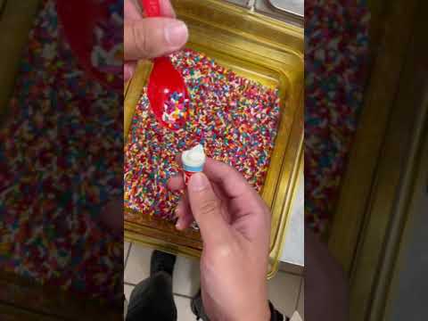 The Worlds Tiniest DQ Blizzard