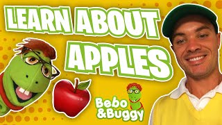 Apples Facts For Kids With Bebo and Buggy