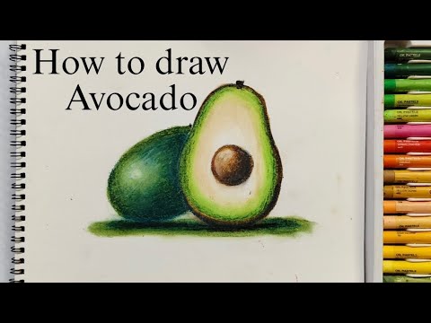 How to draw Avocado | oil pastels| Fruits drawing|beginners