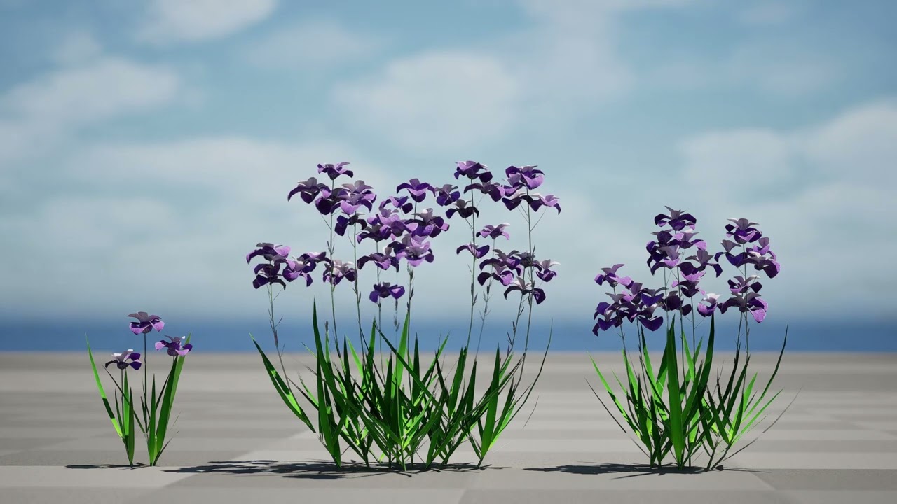 Iris pallida flowering plants 3D Model