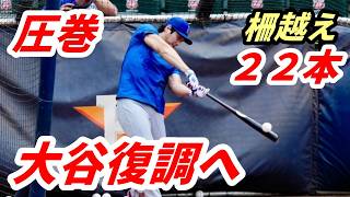 圧巻！大谷翔平 ２２本柵越え連発！異例フリー打撃…かつてないほどの量をこなす　アストロズ戦「１番DH」出場　山本由伸先発！