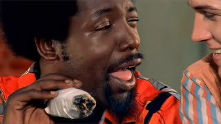Afroman - Because I Got High - Remastered - 4K - 5.1 Surround