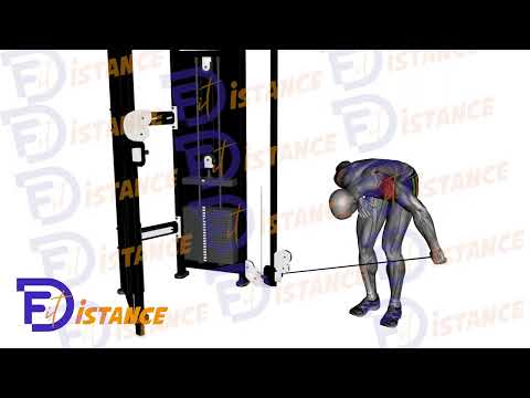 Exercice Élévation arrière à un bras à la poulie