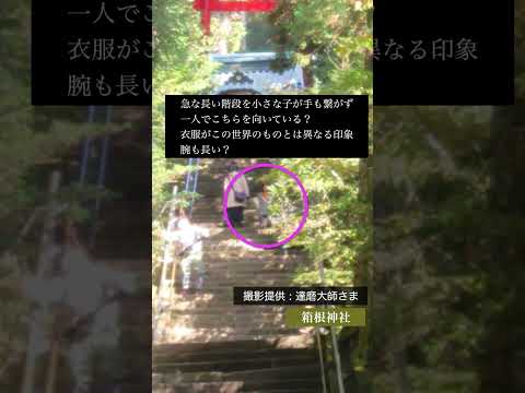 プールの水のメンテナンスを容易にするためのすべてのアドバイス  庭園