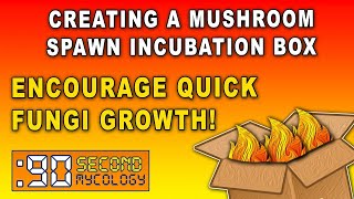 DIY Mushroom Incubation Box | Best Way to Grow Mycelium Fast!
