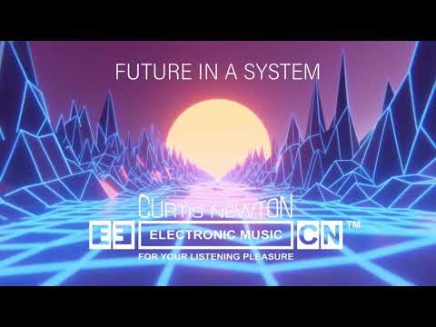 CURTIS NEWTON - FUTURE IN A SYSTEM