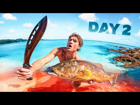 Solo Survival On a Deadly Uninhabited Island Catch n Cook