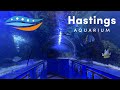 HASTINGS Aquarium FULL Walkthrough 2025