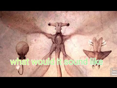 The Qu's call (from all tomorrows)