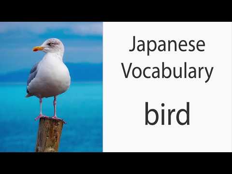 YouTube video about: How to say bird in japanese?