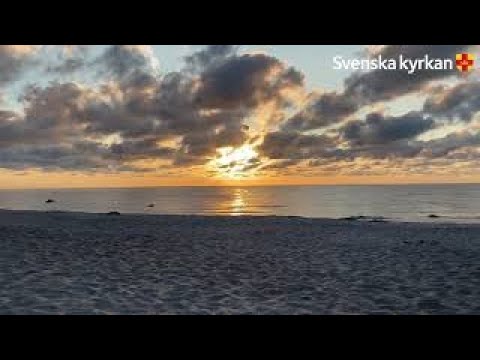 Julens önskesång -Bereden väg för Herren