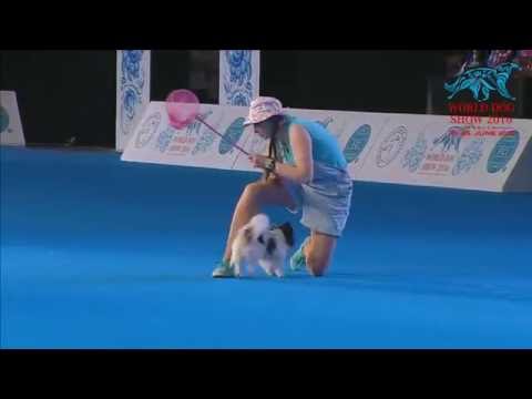 FCI Dog dance World Championship 2016 – Freestyle final  - Irina Efremova and Unkas (Russia)