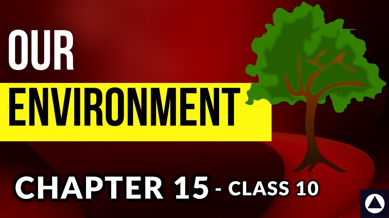 OUR ENVIRONMENT - Chapter 15  Audiobook | NCERT Complete Chapter Reading - Class 10 | One-Shot