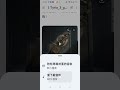 20260310含 Gemini 能製作音樂影片 朗讀文字 白水聖帝 慈訓 孝道
