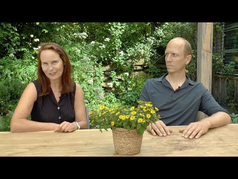 Clarity Process: How to find yourself through mindfulness and silence