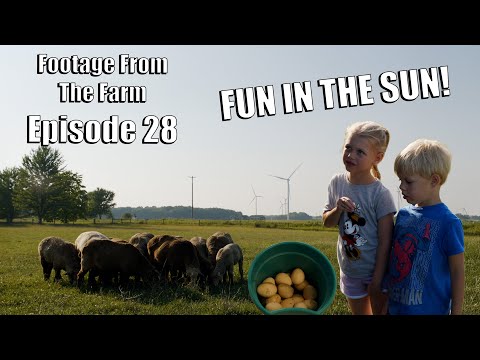 Footage From the Farm: Episode 28 – Family Farm Fun with Silas & Abigail! 🐄❤️ #drpol #farmlife