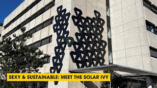 Podcast: Sexy & Sustainable: Meet The Solar Ivy