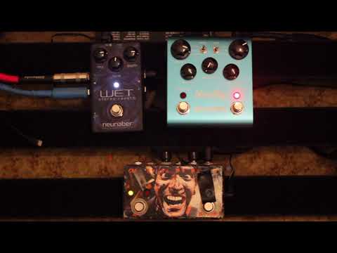 Strymon Blue Sky vs Neunaber Wet