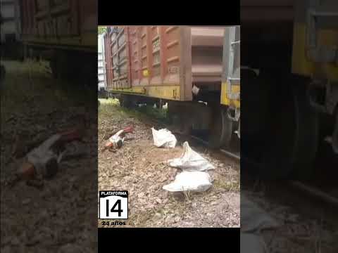 22/09/2026 - Descarriló tren 5003  en Rio Colorado (Pcia. de Tucumán) , al menos 11 vagones...