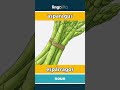 asparagus - espárragos video thumbnail