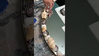 Mirror diy ? / Eva Miller TikTok #evamiller #tiktok #shorts #video #trending #ytshorts #short