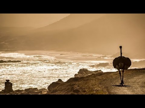 HOMABAY TO THE WORLD; THE VIRGIN COUNTY WITH ENDLESS NATURAL BEAUTY