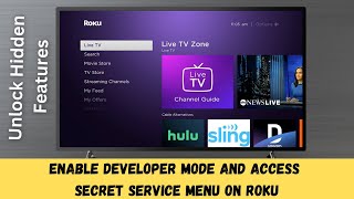 Unlock Hidden Features: How to Enable Developer Mode and Access Secret Service Menu on Roku