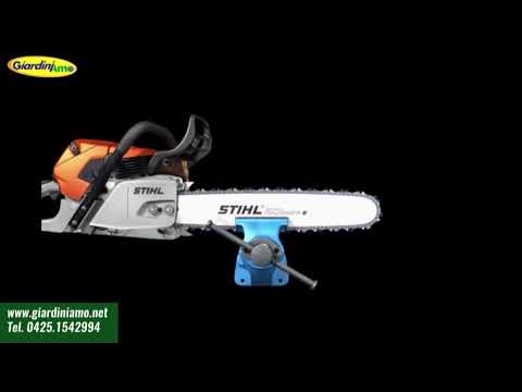 Miniatura Video
