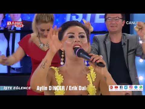 Aylin Dinçer Erik Dalı