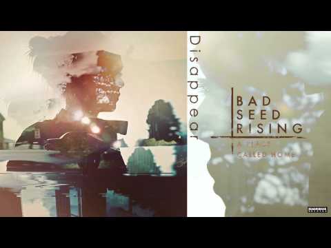 Bad Seed Rising - Disappear (Audio)