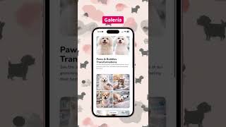 Cómo se vería un negocio de Pet Grooming en Puny