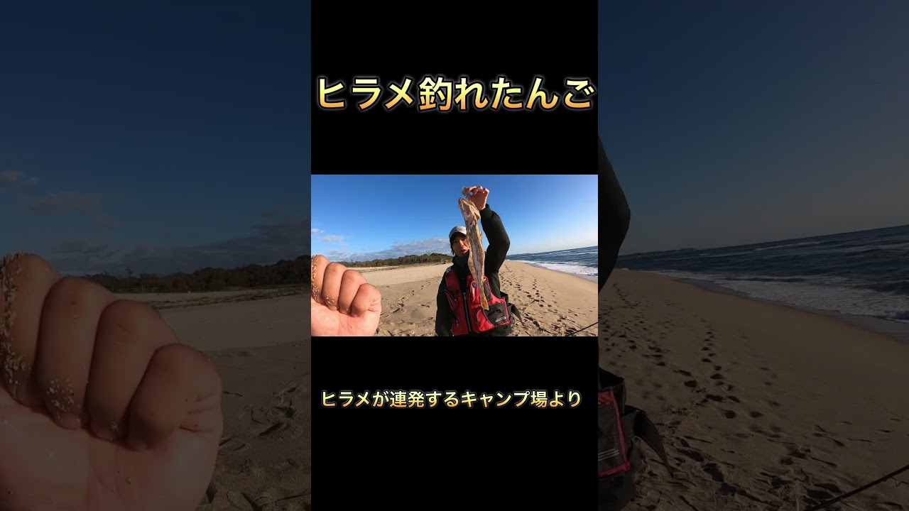 やっぱサーフは最高だね！！【過去動画】 #いばんちゅtv #茨城 #釣り #shorts