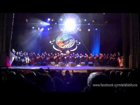 Scalabituna - Chuva de Verão (XVI TUIST)