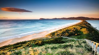 Bruny Island day tour with Tassie Tours