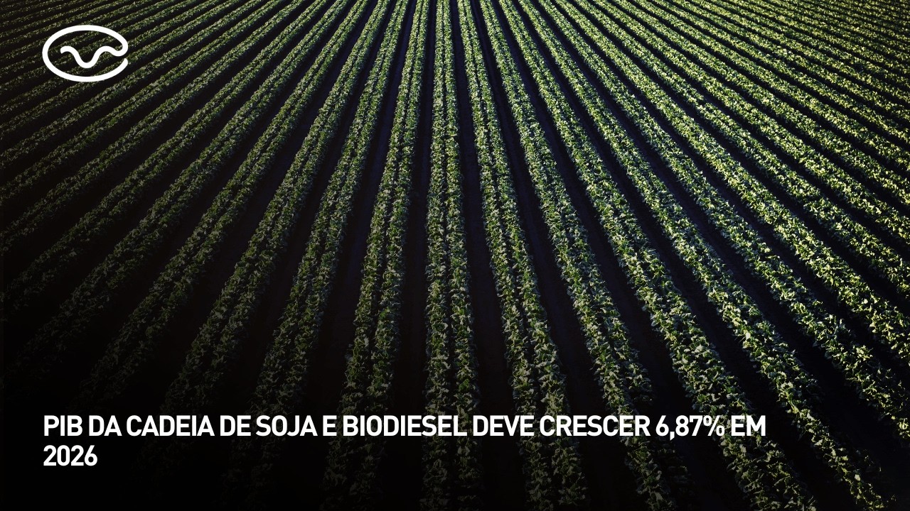 PIB da cadeia de soja e biodiesel deve crescer 6,87% em 2026