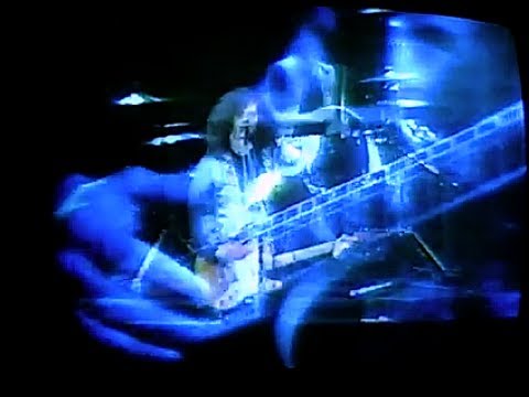 The VICEROYz - Life In A Circus