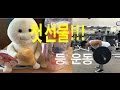 보내주신 선물(나구, 등 운동, 데드리프트, 대학생활, vlog) 복학생 Ep50