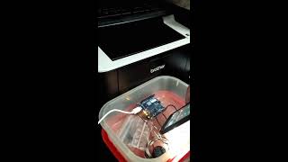 The Intern: gameplay