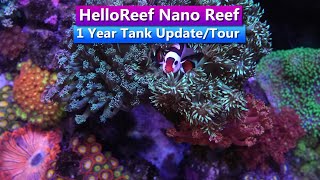 Hello Reef - Nano Reef - 1 Year Update & Tank Tour